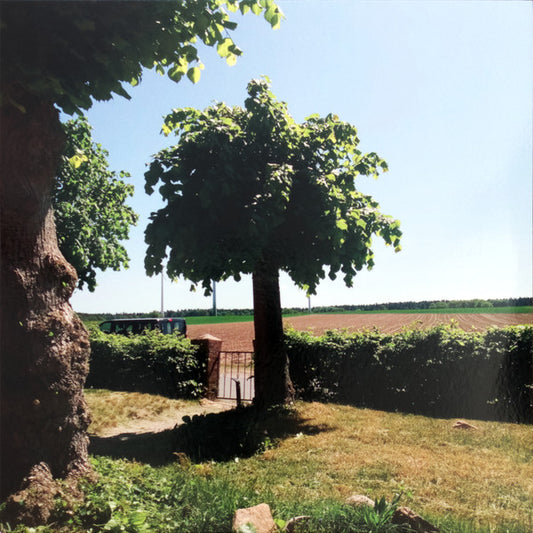 Into The Second Half by Sigtryggur Berg Sigmarsson