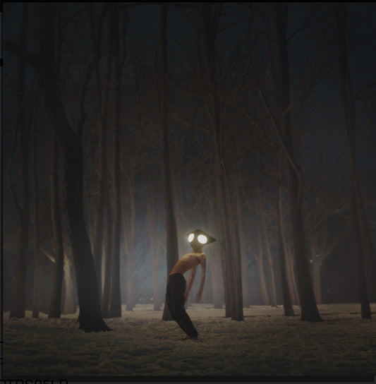 Projector by Geese (11)