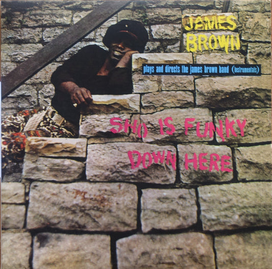 Sho Is Funky Down Here by James Brown