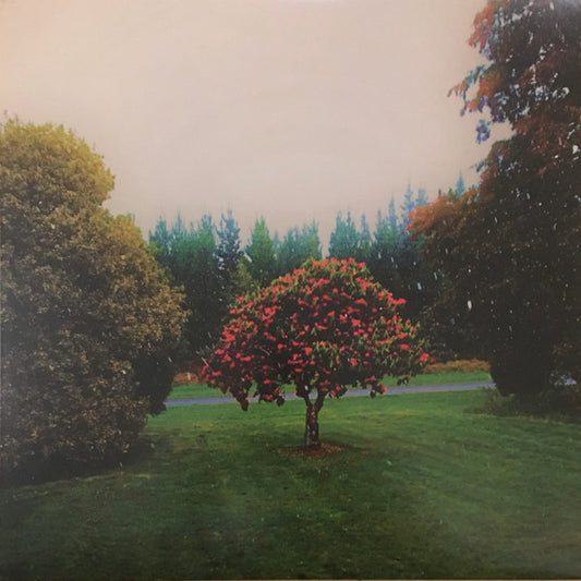 Foothills by The Bats