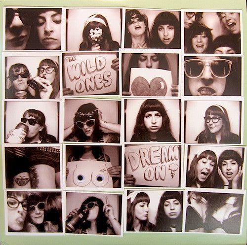 Dream On by The Wild Ones