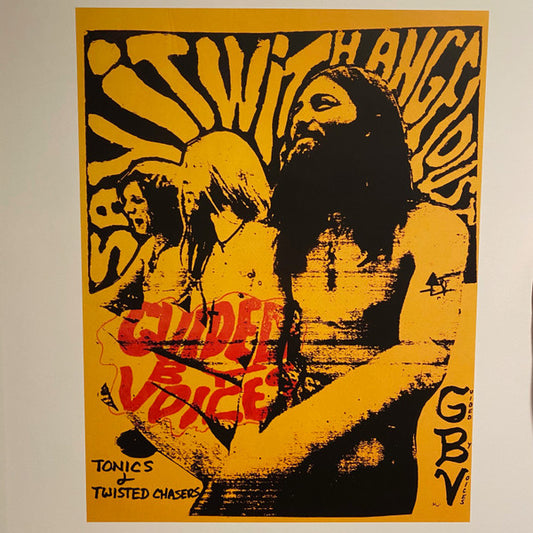 Tonics & Twisted Chasers by Guided By Voices