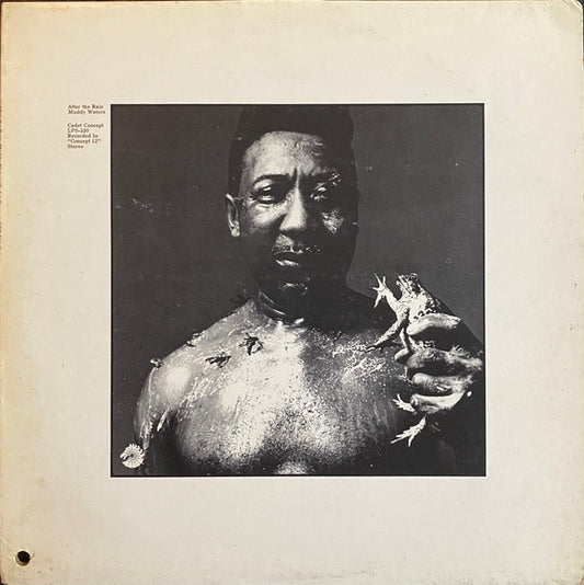 After The Rain by Muddy Waters