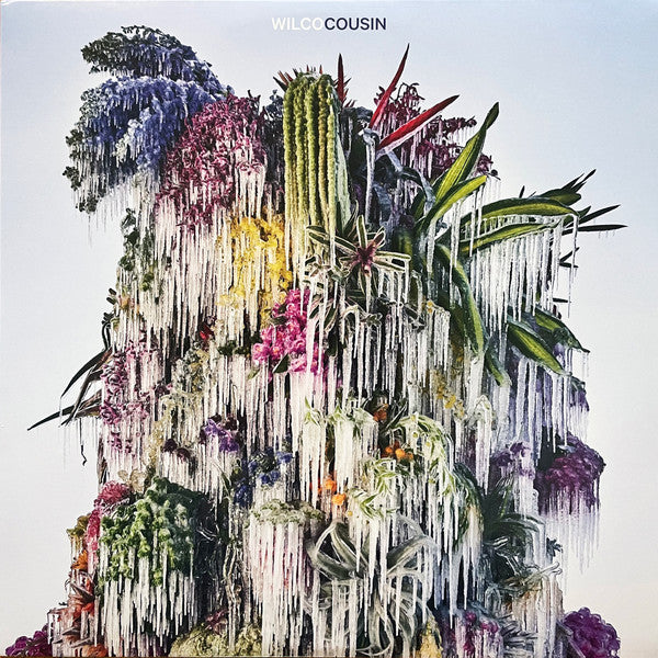 Cousin by Wilco