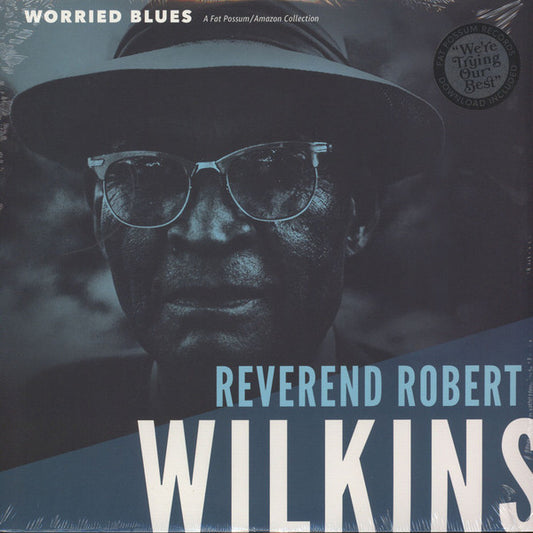 Worried Blues by Robert Wilkins