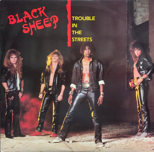 Trouble In The Streets by Black Sheep