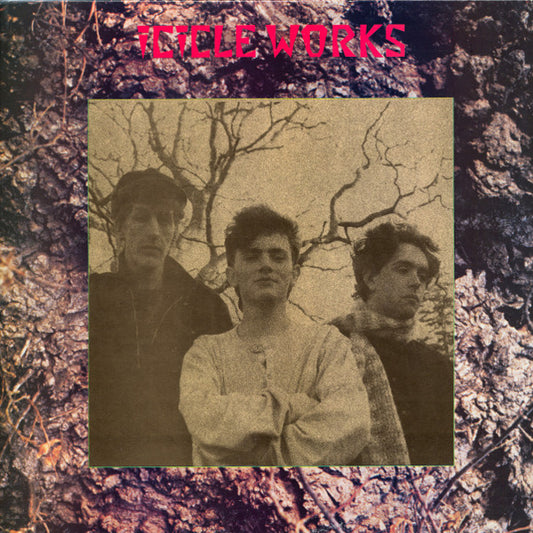 Icicle Works by The Icicle Works