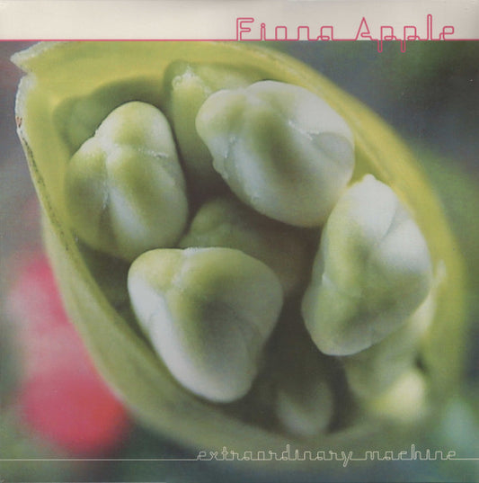 Extraordinary Machine by Fiona Apple