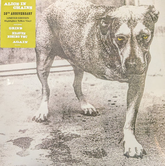 Alice In Chains by Alice In Chains