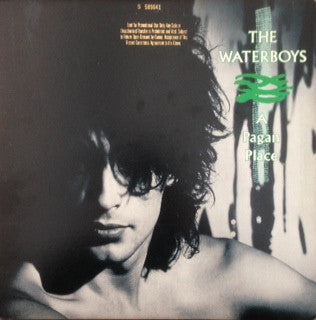 A Pagan Place by The Waterboys