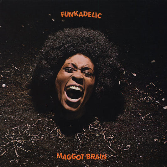 Maggot Brain by Funkadelic