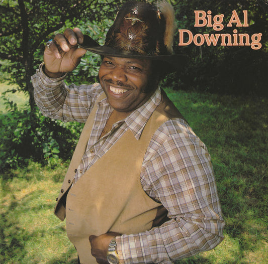 Big Al Downing by Al Downing