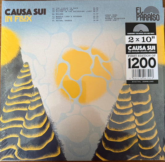 In Flux by Causa Sui