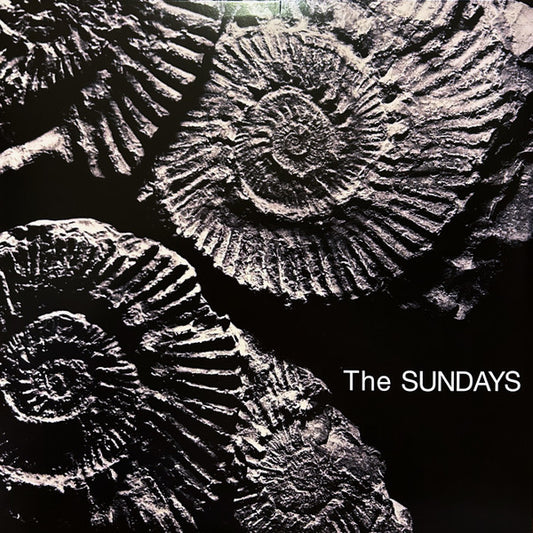 Reading, Writing And Arithmetic by The Sundays