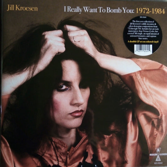 I Really Want To Bomb You: 1972 - 1984 by Jill Kroesen