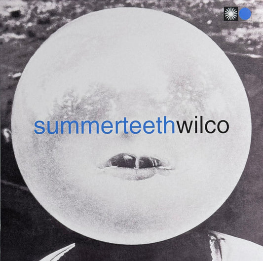 Summerteeth by Wilco