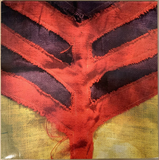 Show Your Bones by Yeah Yeah Yeahs