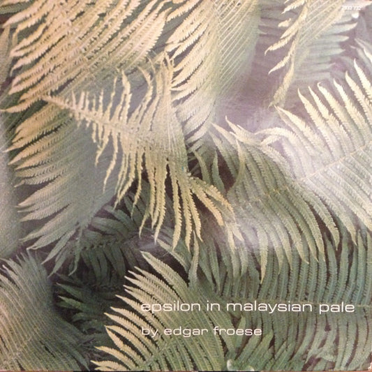 Epsilon In Malaysian Pale by Edgar Froese