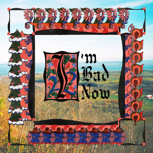 I'm Bad Now by Nap Eyes