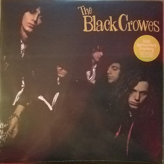 Shake Your Money Maker by The Black Crowes